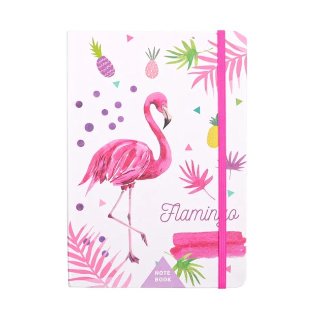 Carnet Ligné My Handy Notebook